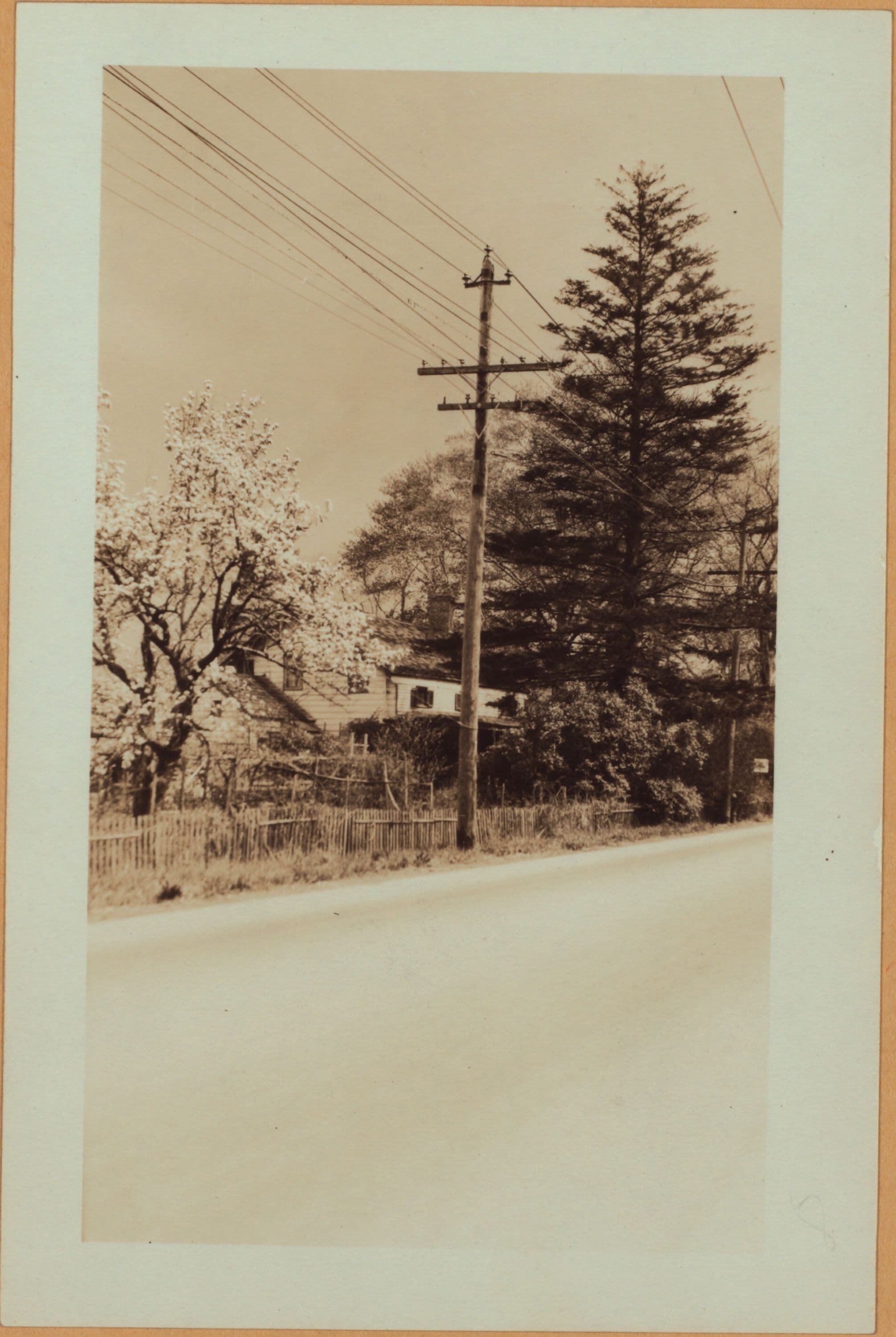 Richmond: Arthur Kill Road - Abingdon Avenue