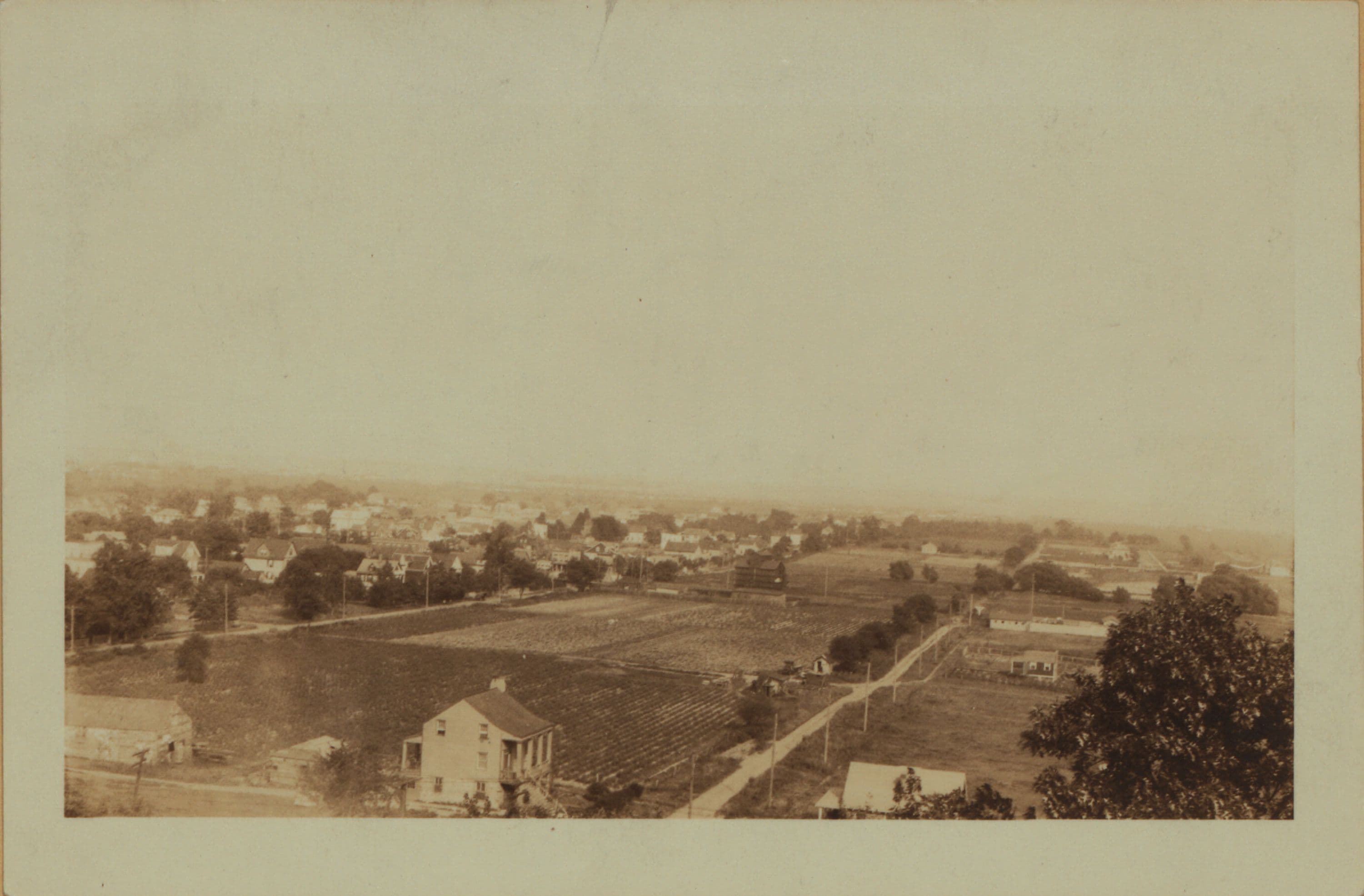Richmond: Richmond Avenue - Dongan Hills Avenue