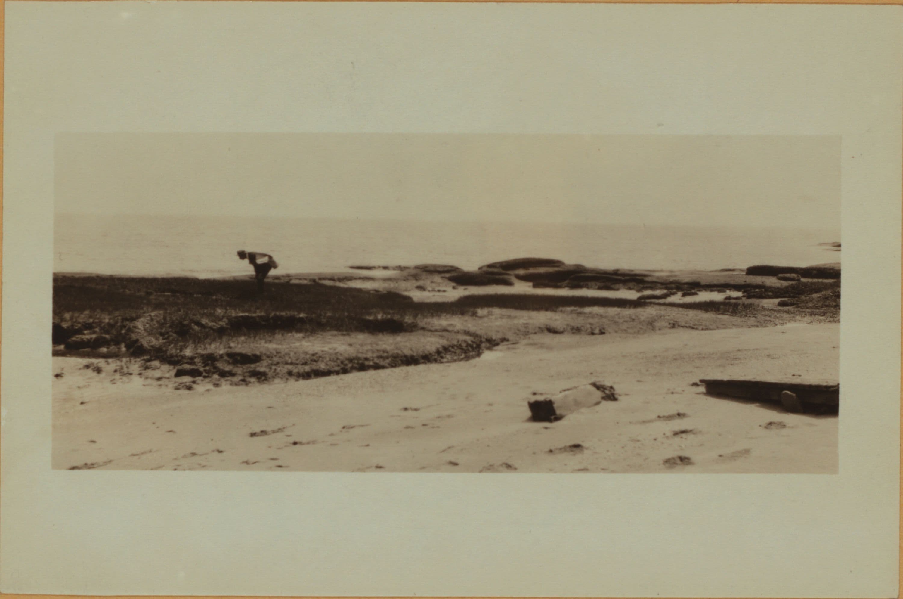 Staten Island - Oakwood Beach - [Salt meadows.]