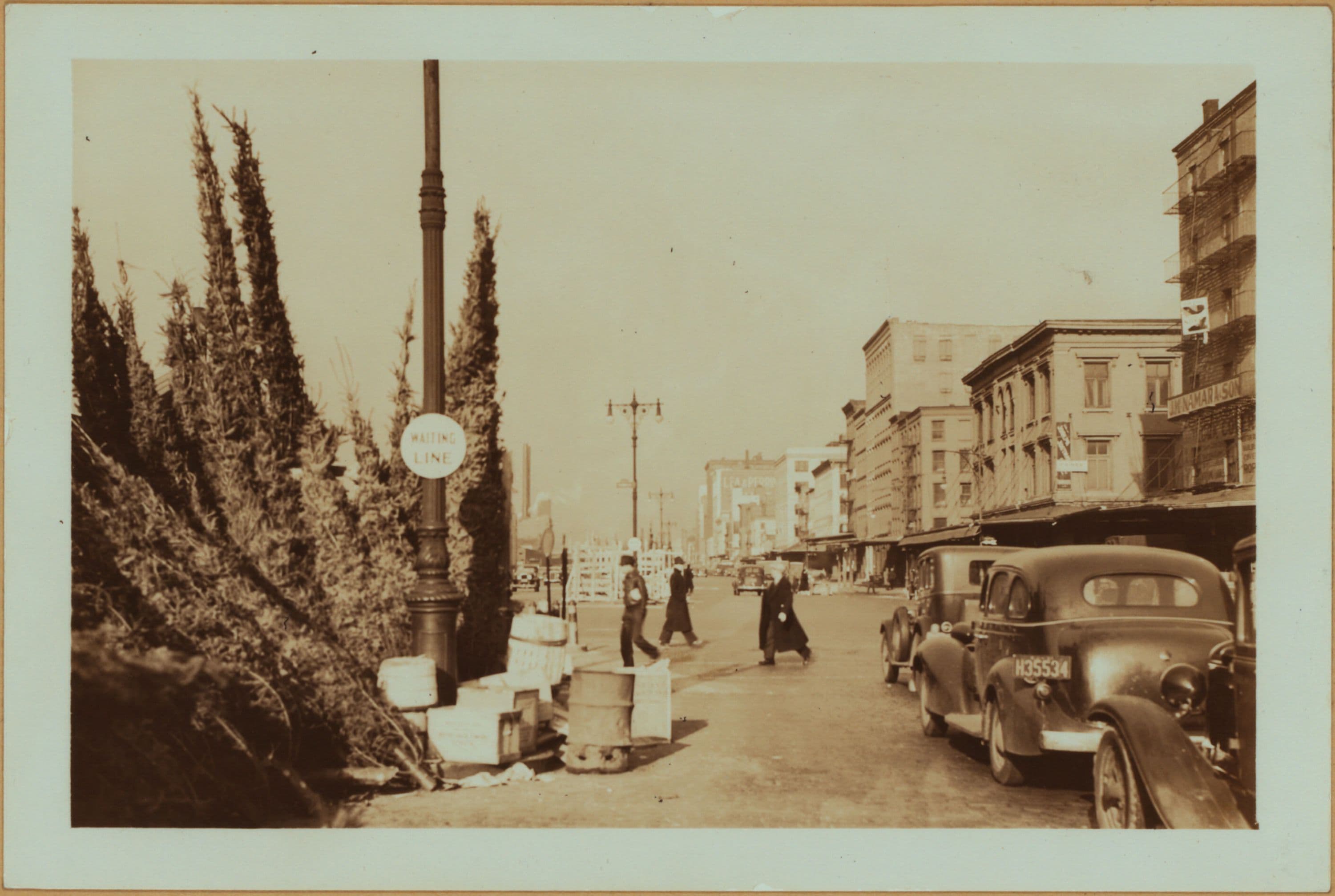 Occupations - Peddlers - Christmas trees.