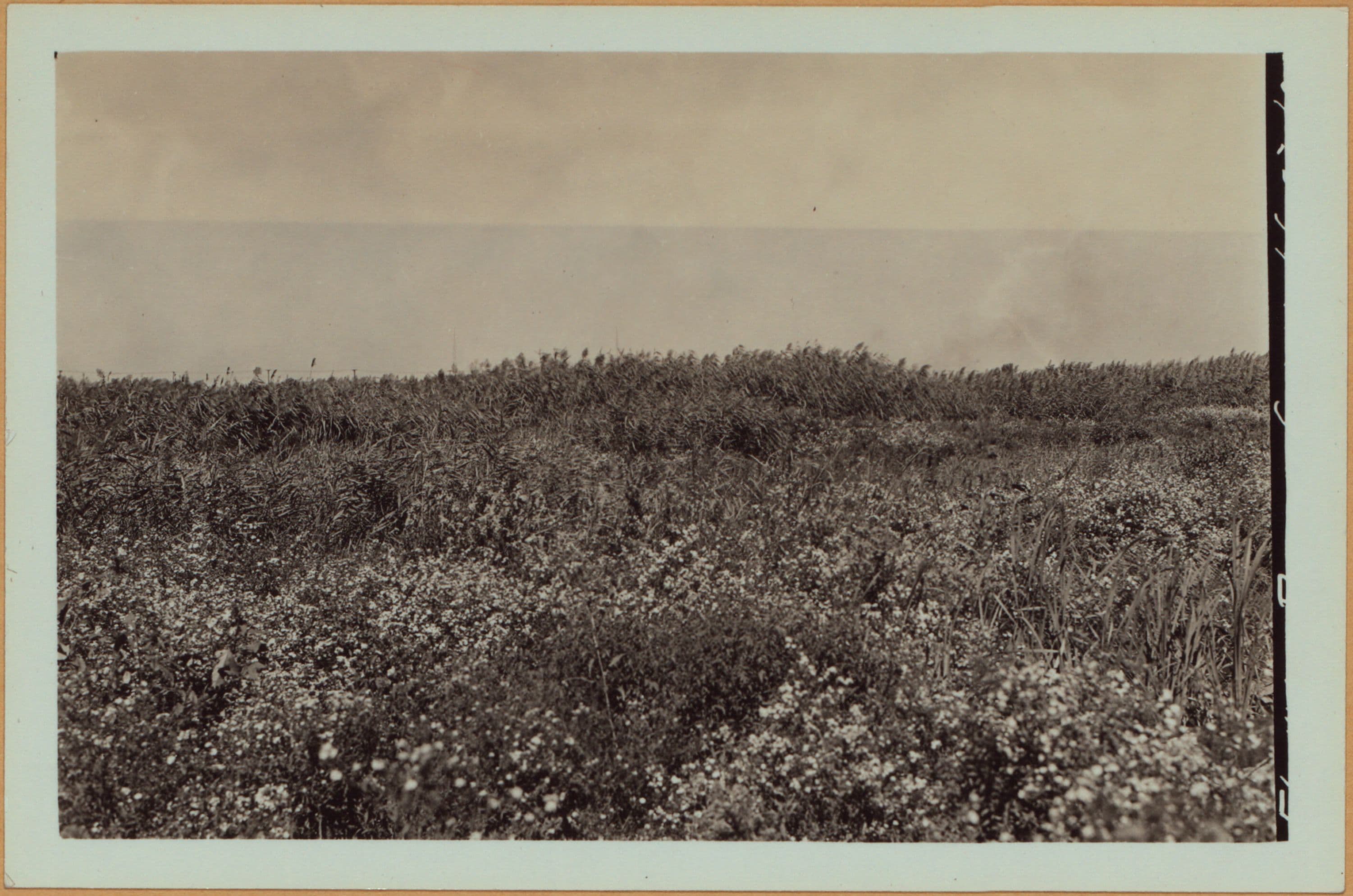 Queens: Flushing Meadow Park - [Roosevelt Avenue - Northern Boulevard.]