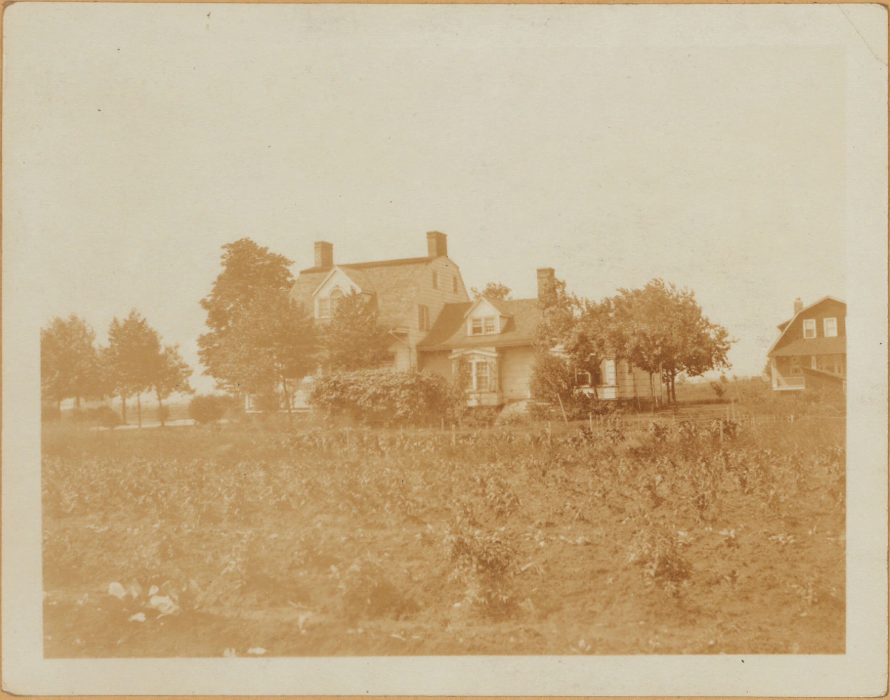 Brooklyn: Avenue P - Coleman Street