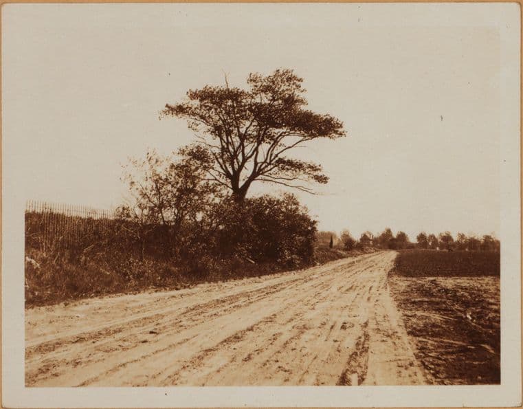 Brooklyn: Cortelyou Road - Brooklyn Avenue