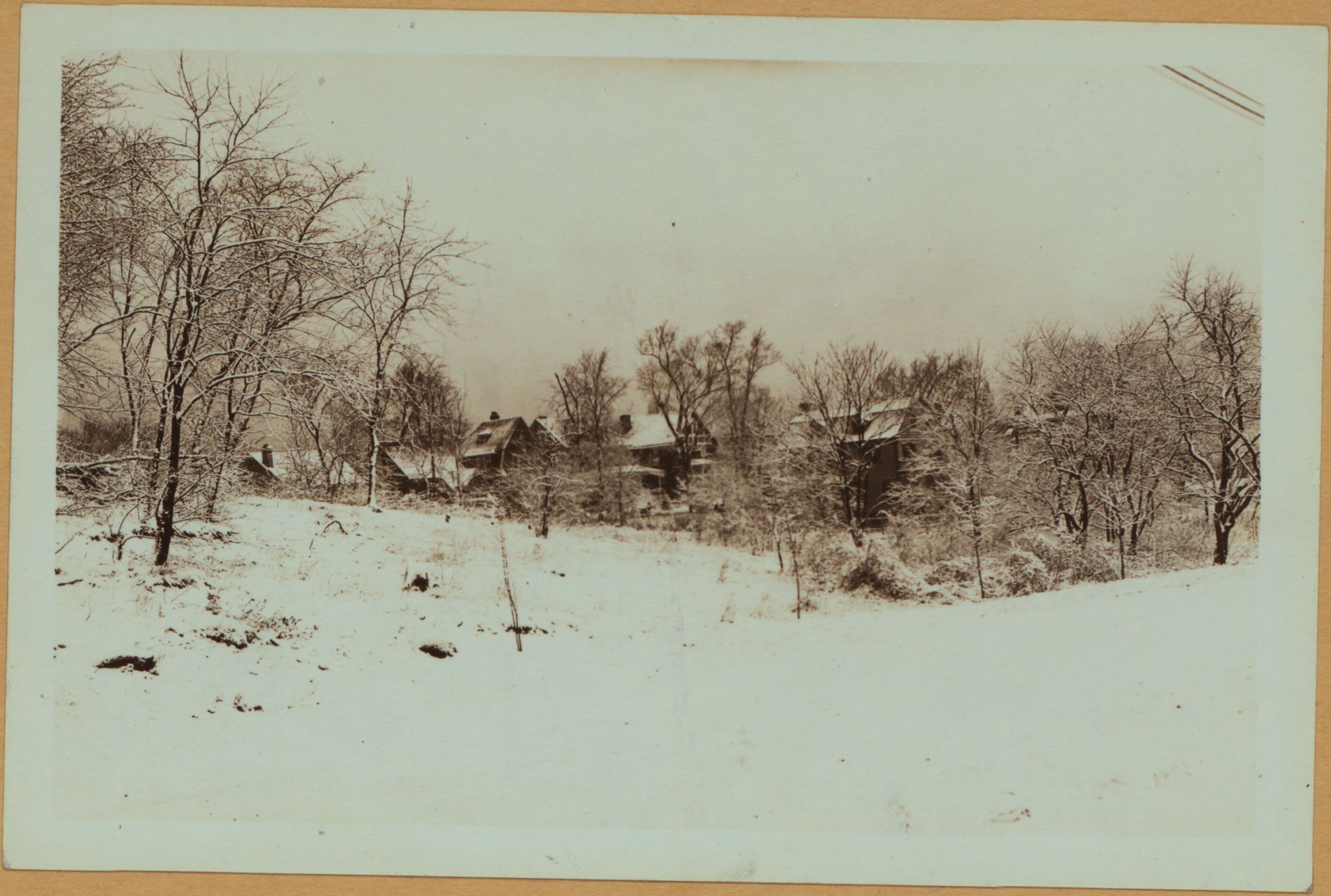 Richmond: Shore Acres Road - Bay Street
