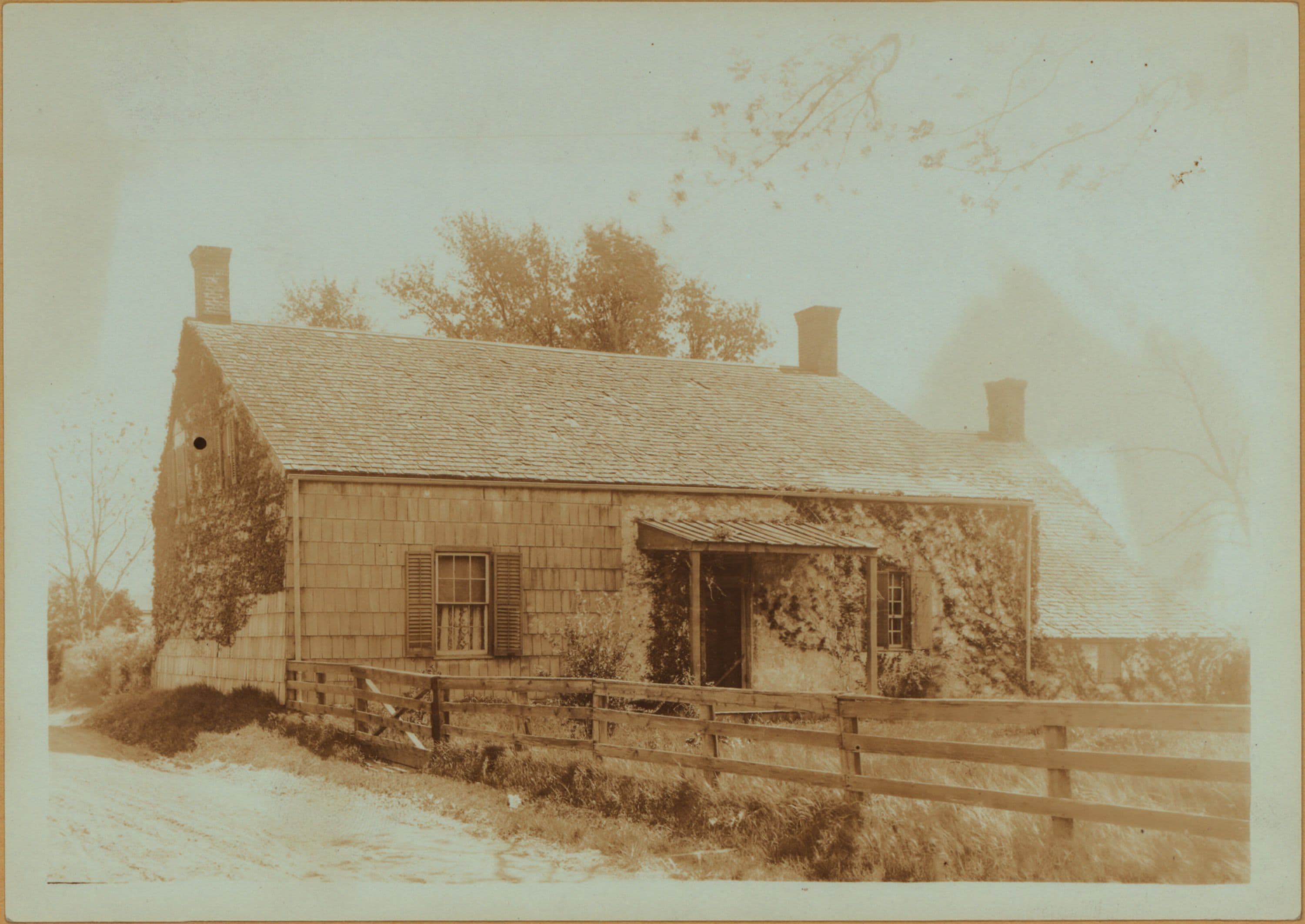 Richmond: New Dorp Lane - Cedar Grove Avenue