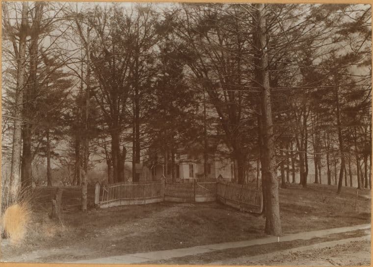 Bronx: Charlotte Street - Boston Road
