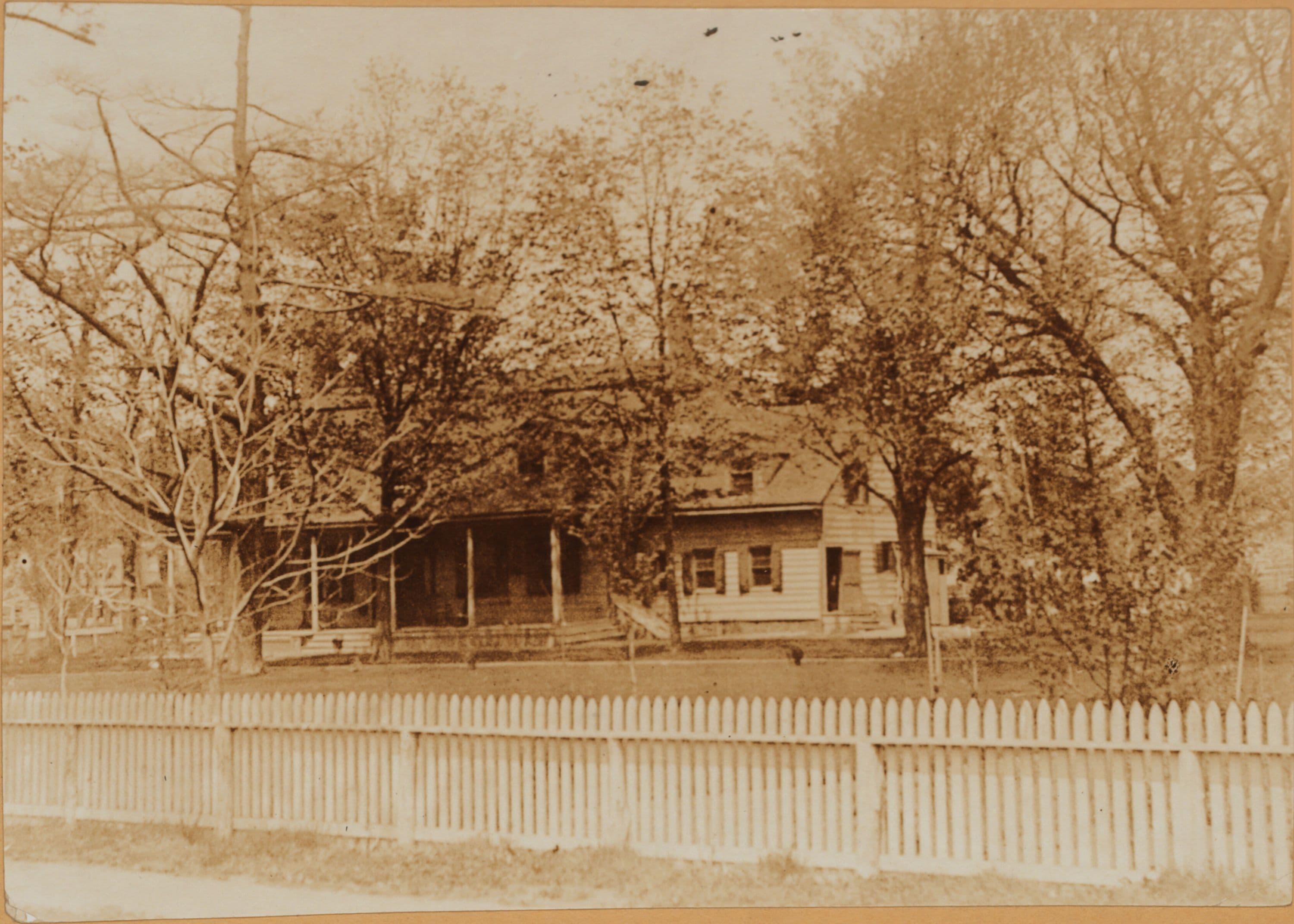 Brooklyn: Flatbush Avenue - Ditmas Avenue