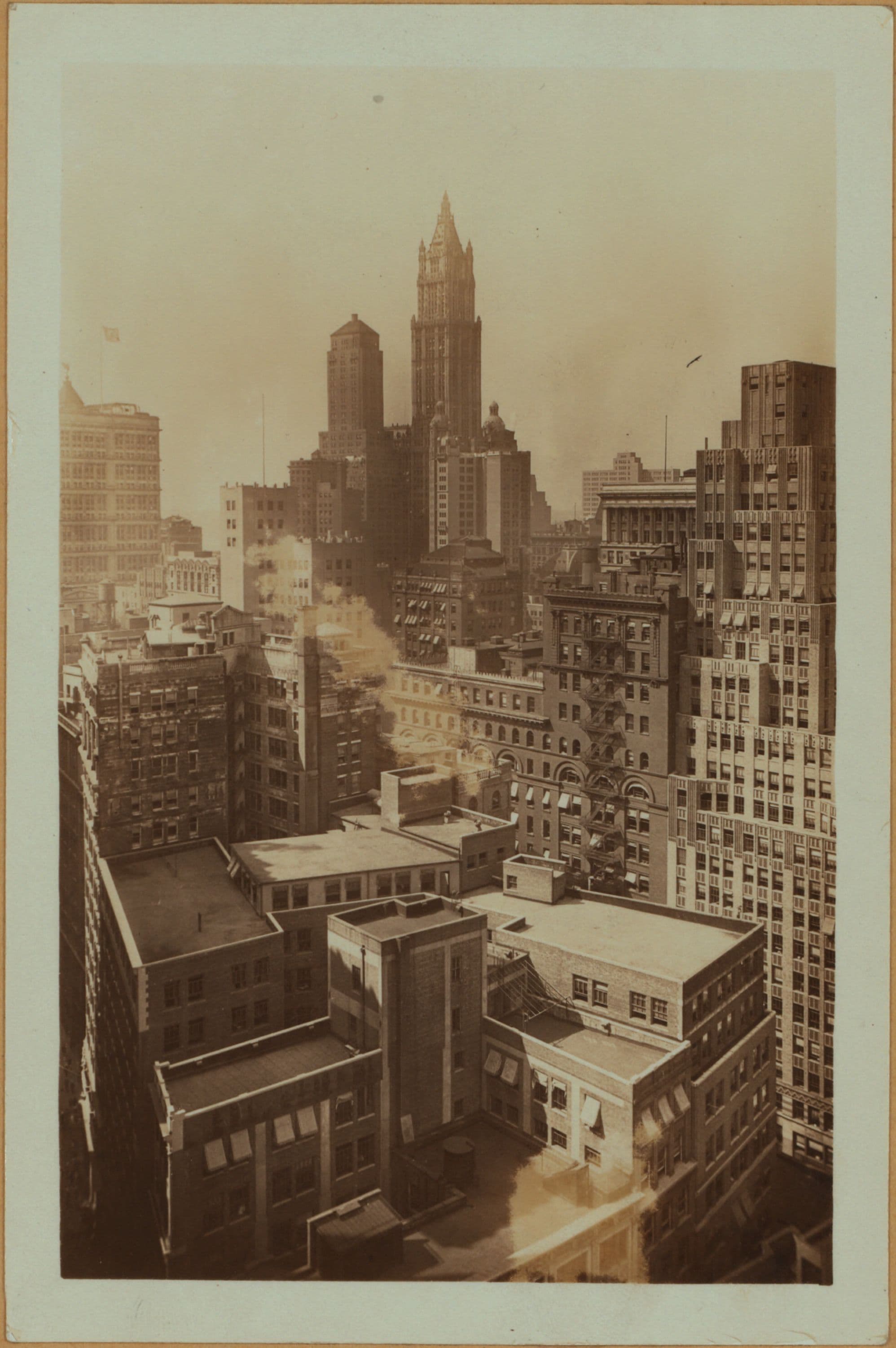 General view - Cedar Street - Northeast.