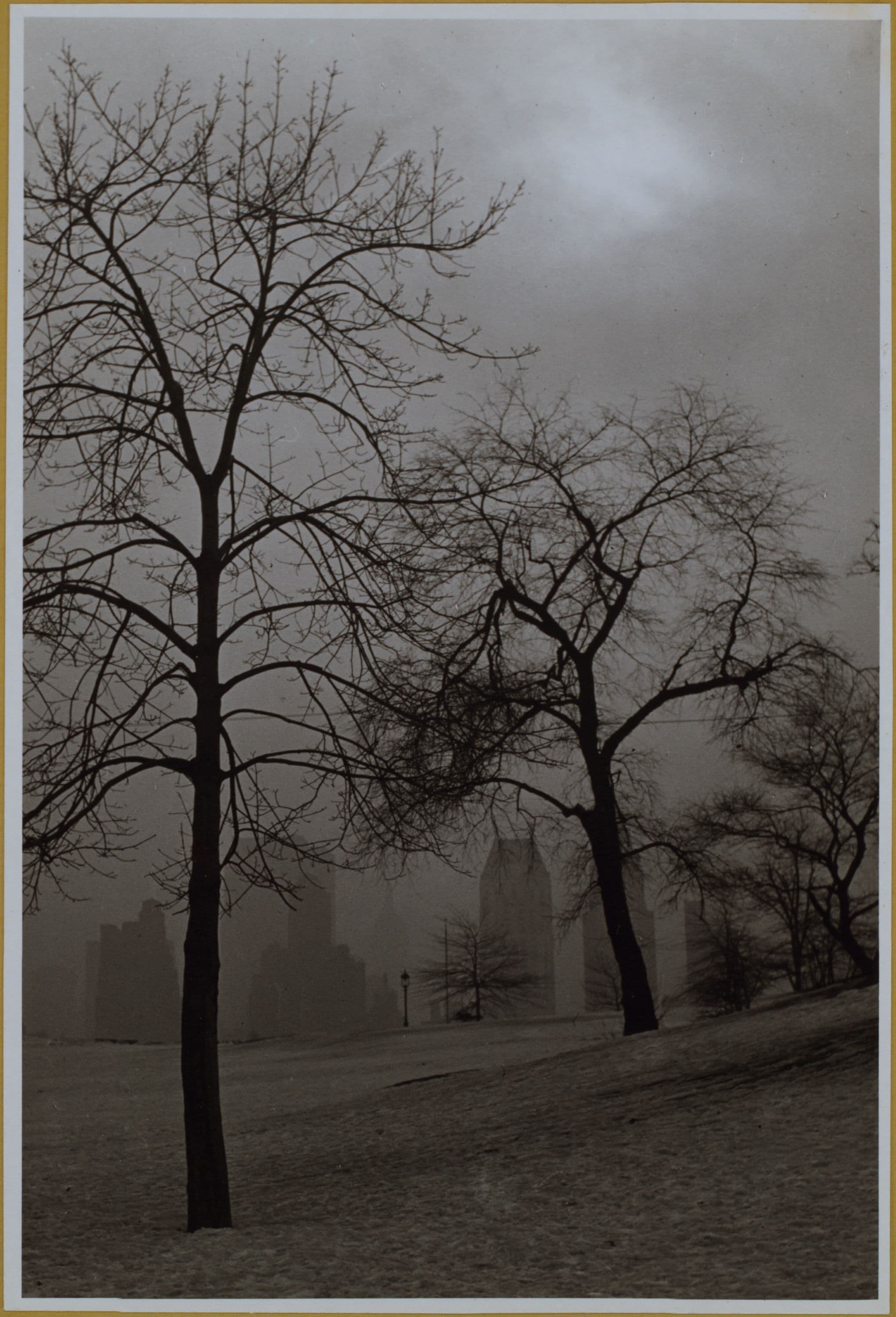 Manhattan: Central Park.