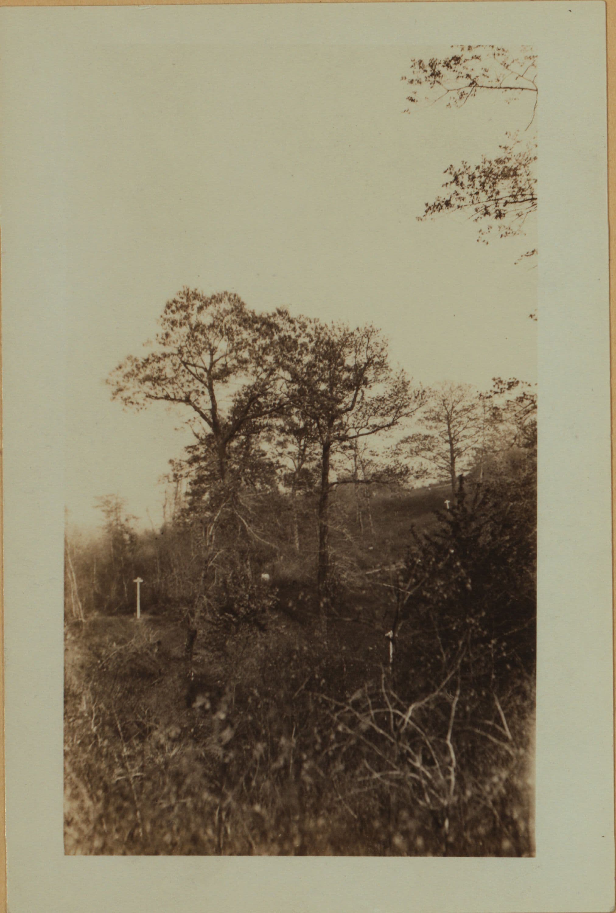 Richmond: Sparkill Avenue - Duncan Street
