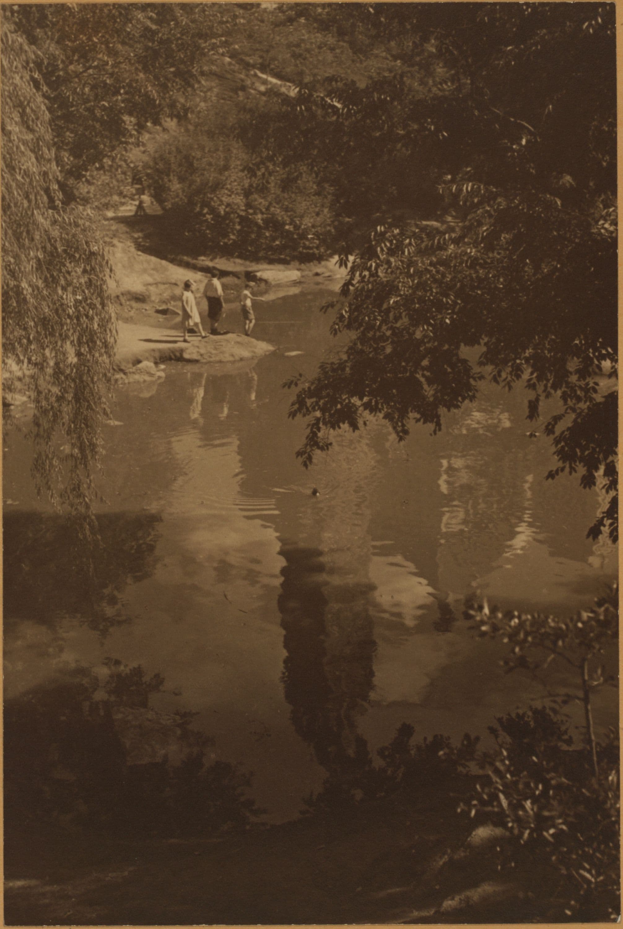 Manhattan: Central Park - The Pond.