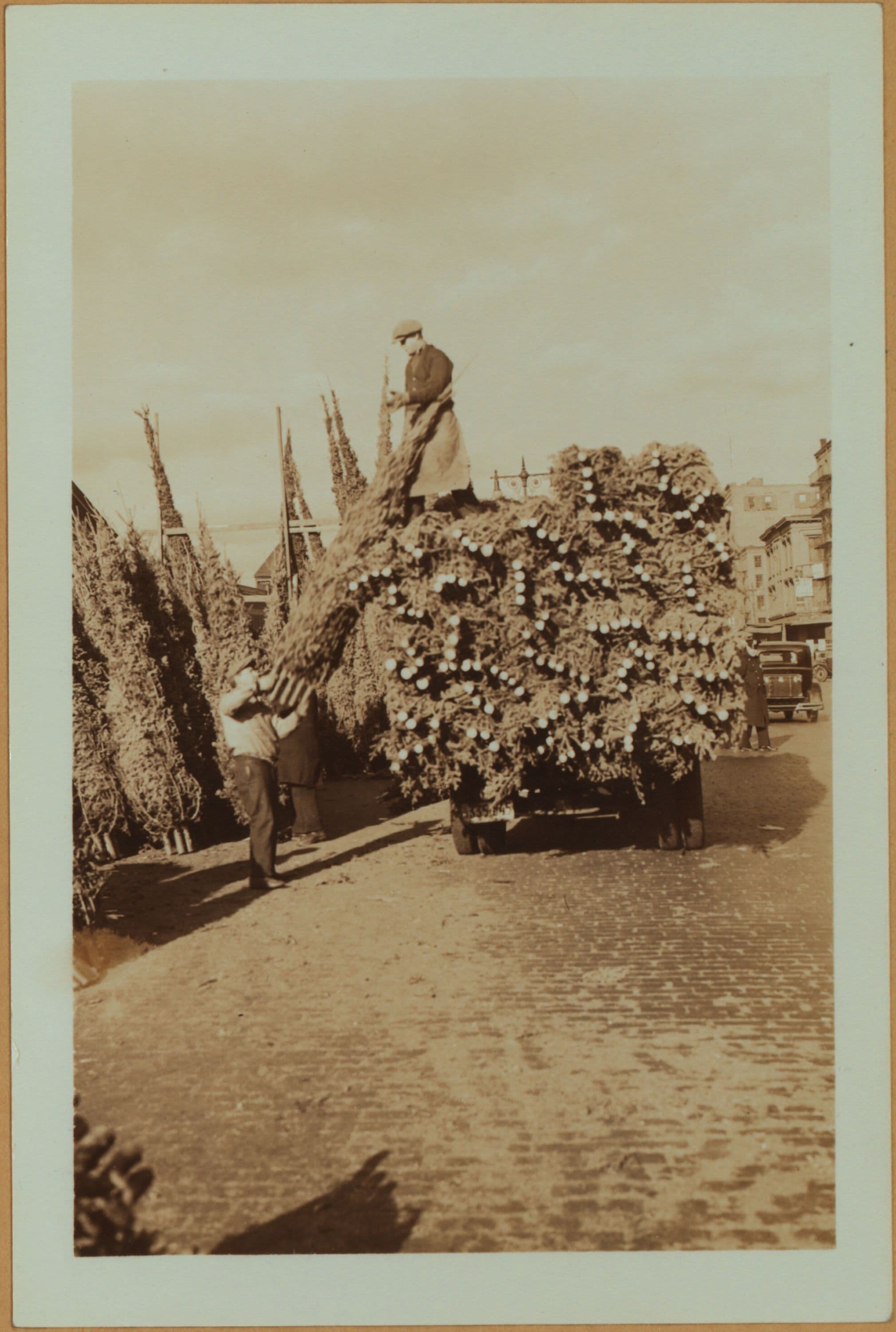 Occupations - Peddlers - Christmas trees.