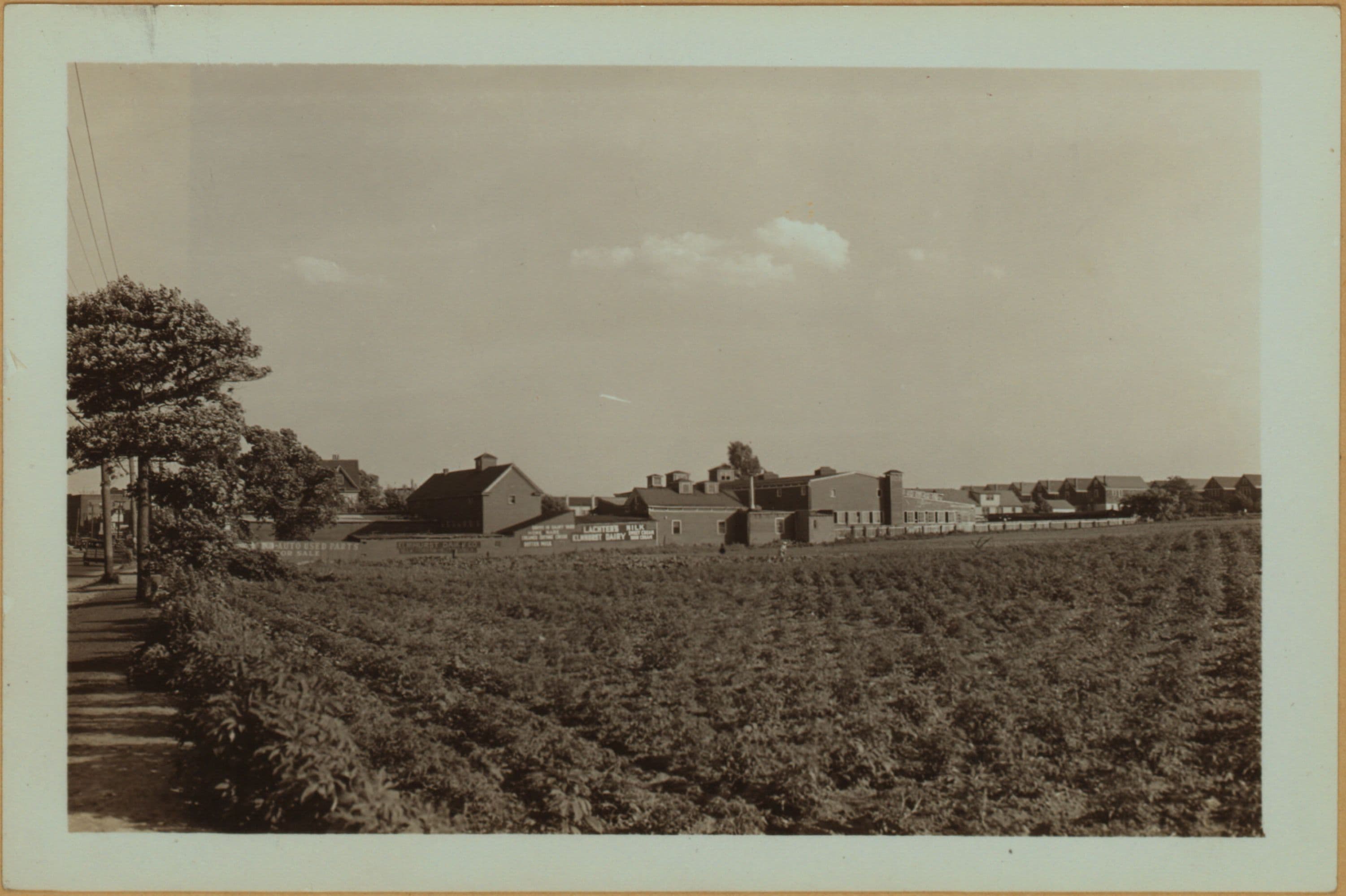Farming - Queens.