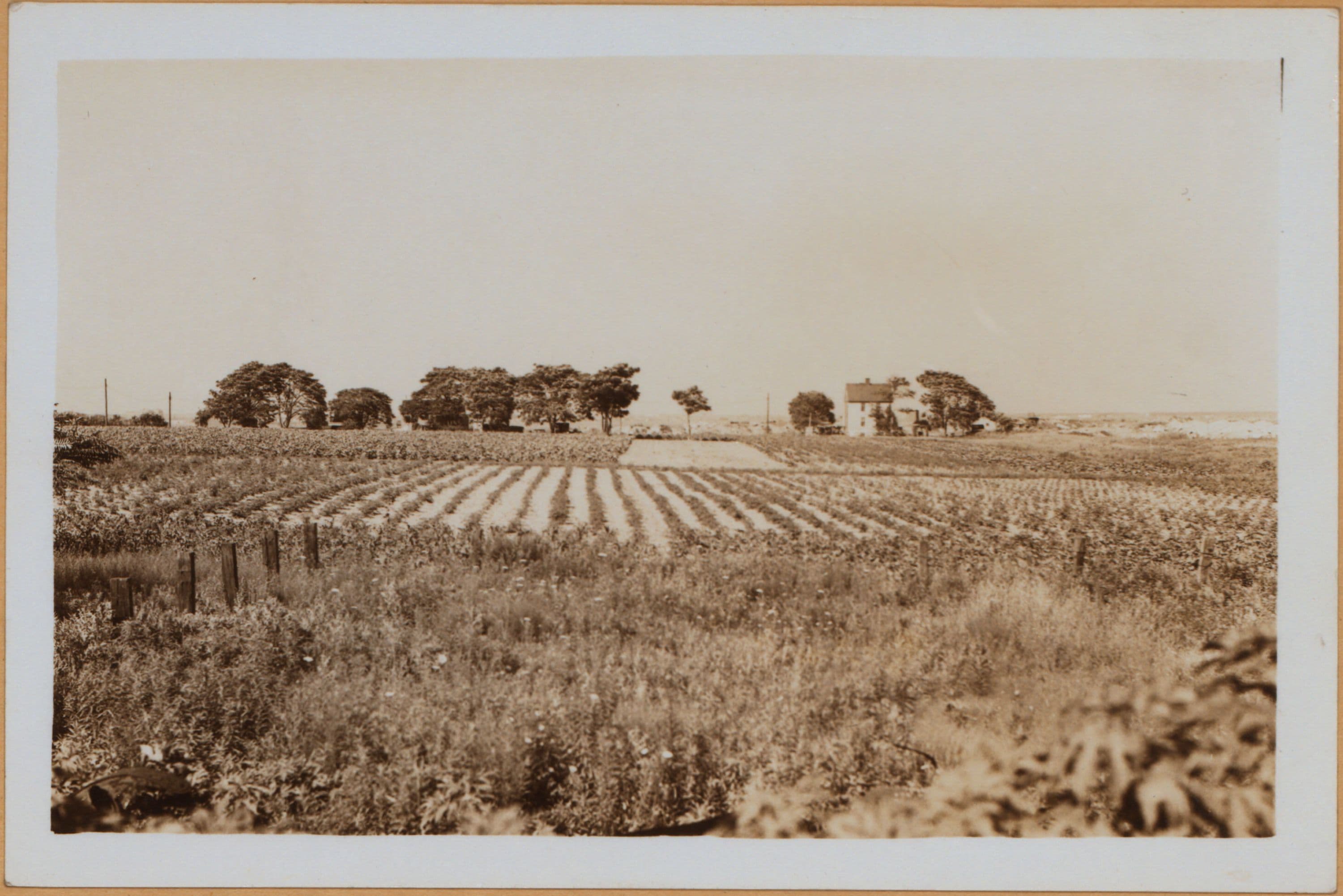 Brooklyn: 100th Street (East) - Avenue K