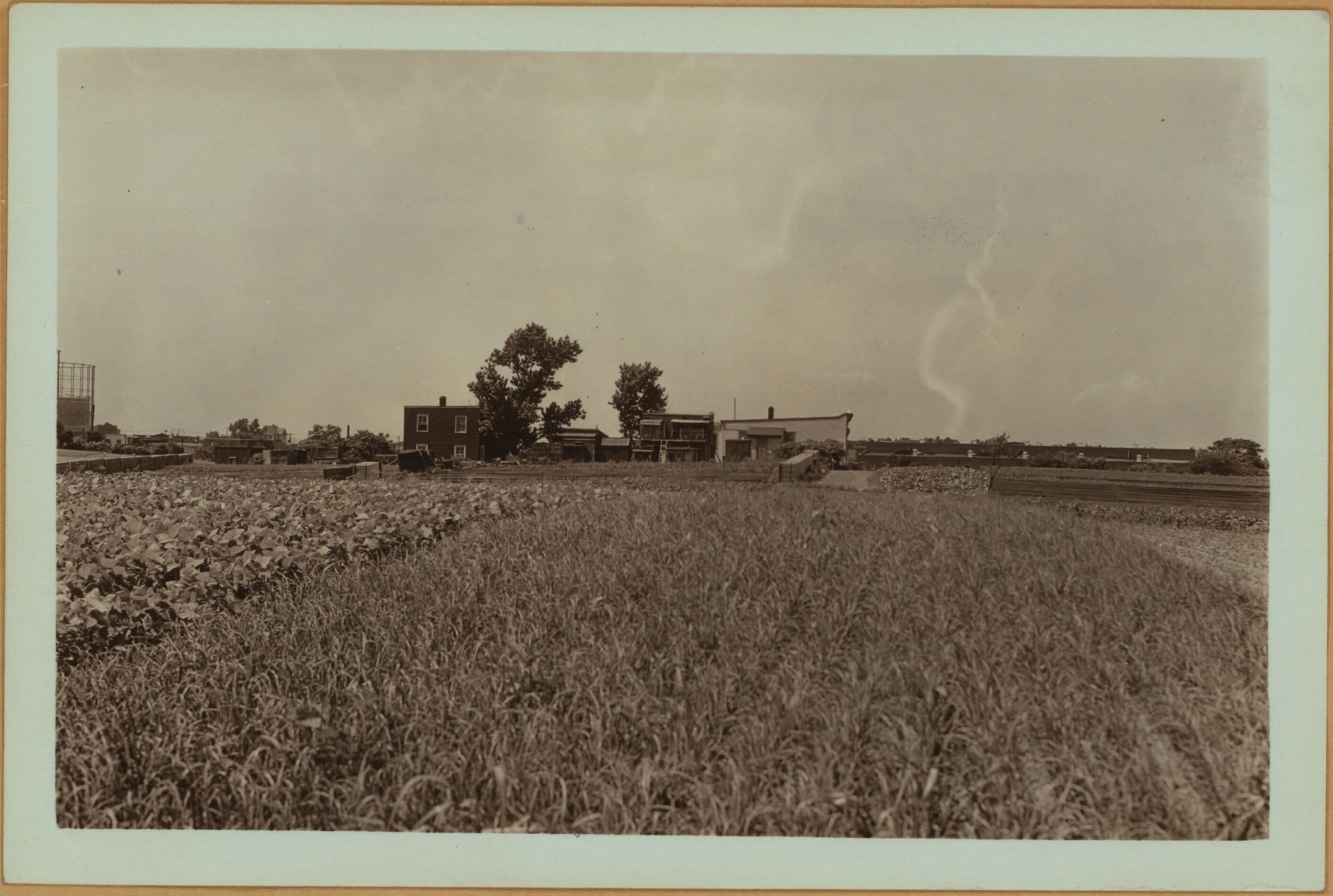 Farming - Queens., 1935