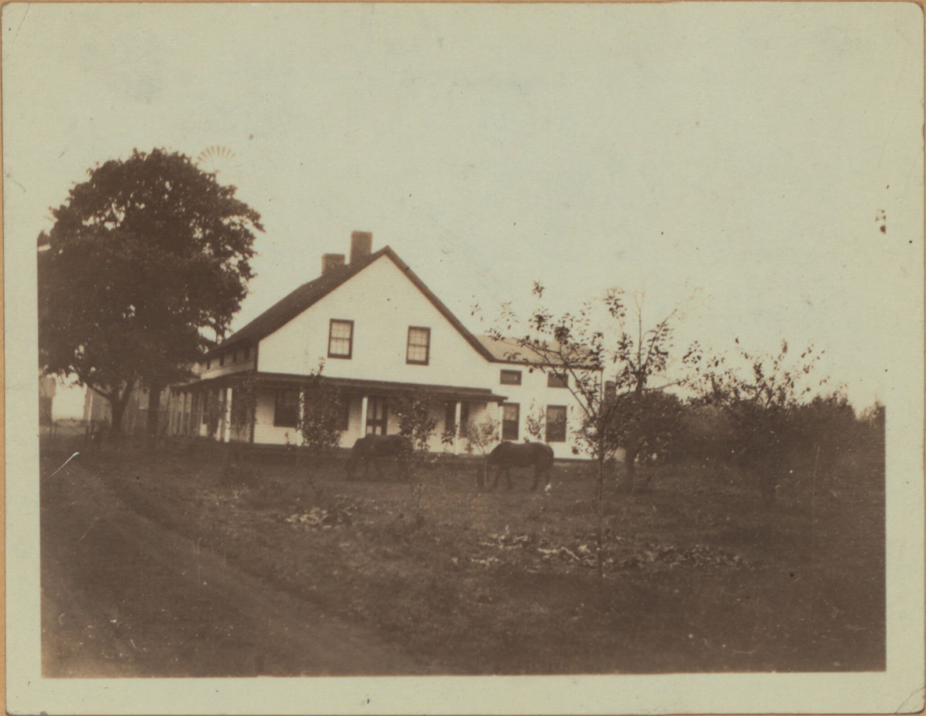 Queens: Little Neck Parkway - 74th Avenue