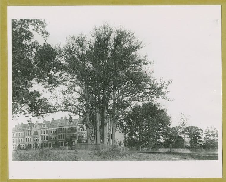 Convent Avenue - 143rd Street