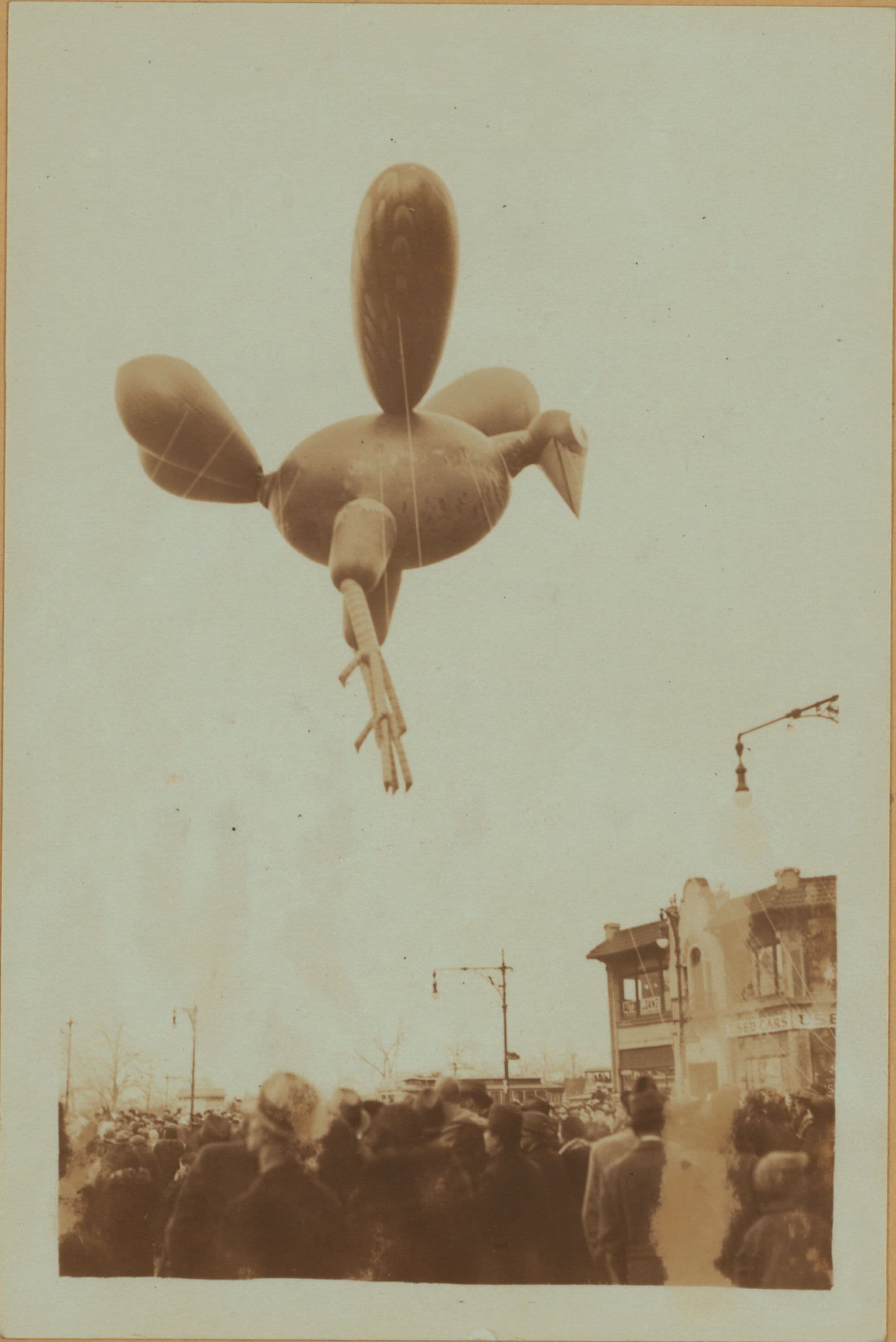 Celebrations - Parades - Municipal events - Macy's Thanksgiving Parade.