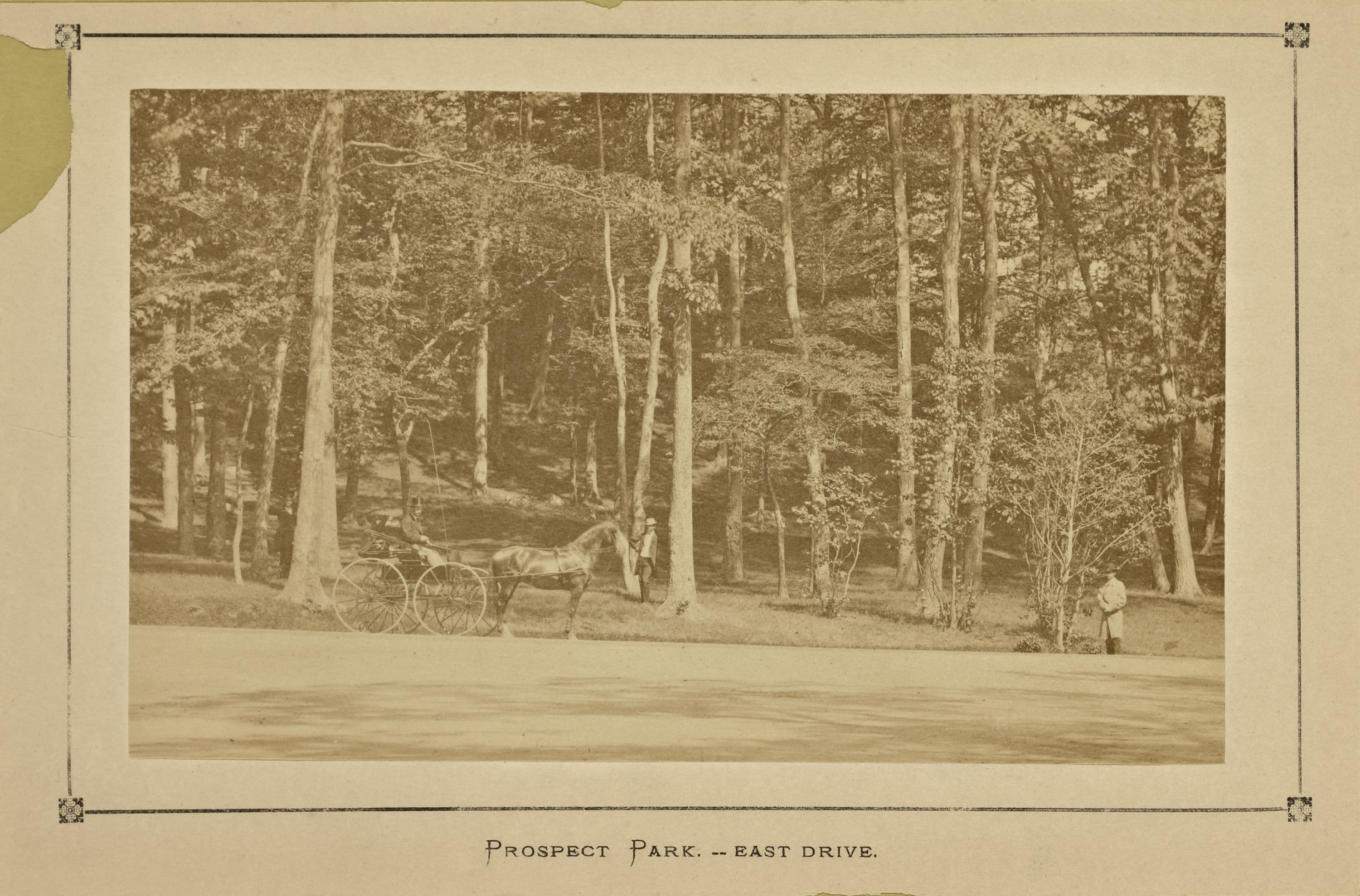 Brooklyn: Prospect Park.