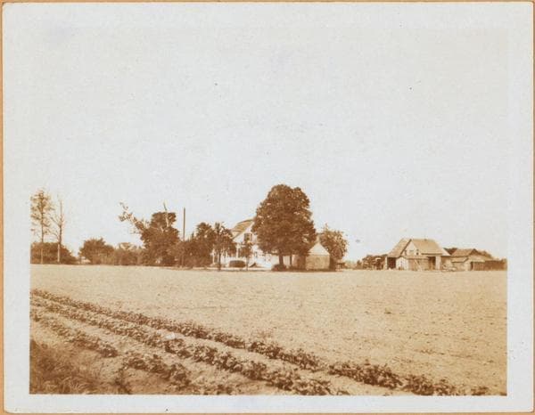 Brooklyn: 36th Street (East) - Fillmore Avenue, 1923