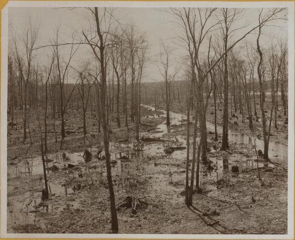 Bronx: Van Cortlandt Park., 1931