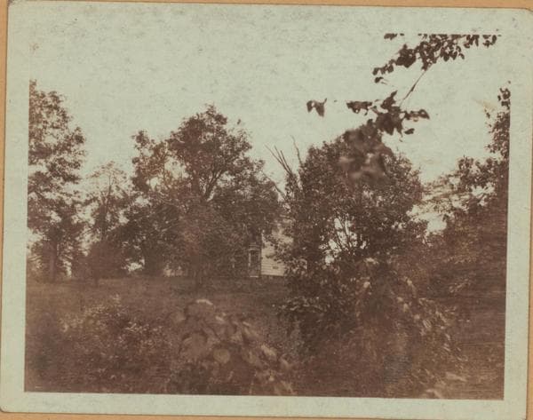 Queens: 19th Avenue - 79th Street, 1922–1923