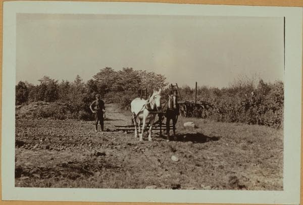 Farming on Staten Island, 1931–1936