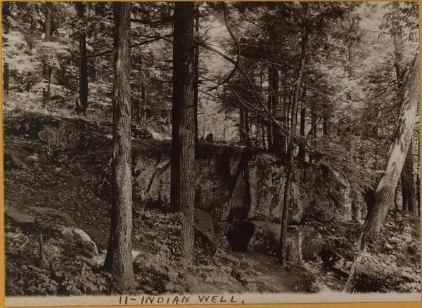 Bronx: Bronx Park - Indian Well.