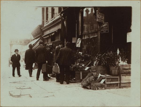 Occupations - Peddlers - Flowers., 1930–1936