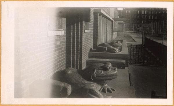 Bronx: 148th Street (East) - Morris Avenue, 1956