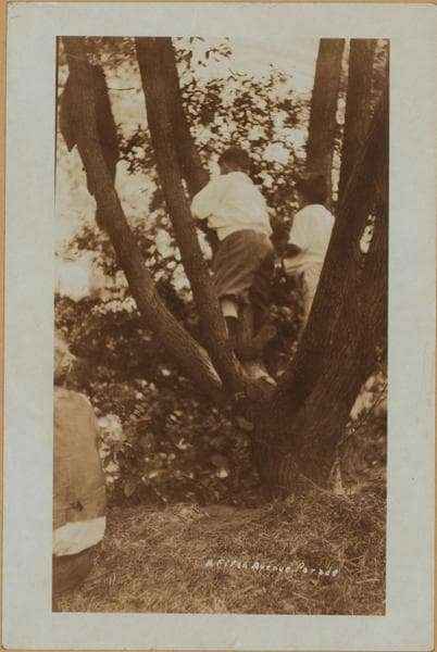 Manhattan: Central Park - Miscellaneous., 1923–1924