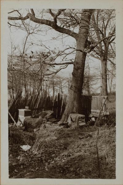 Manhattan: Inwood Hill Park., 1932