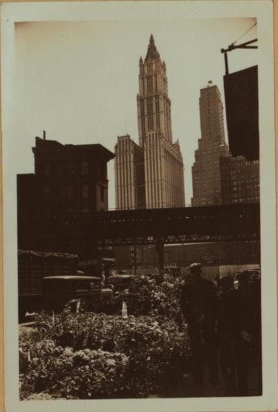 Occupations - Peddlers - Flowers., 1935