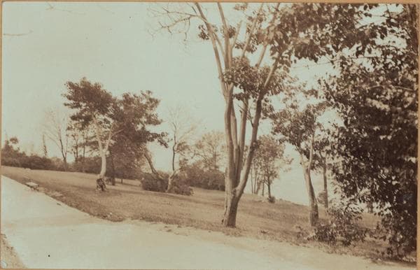 Manhattan: 120th Street (West) - 3rd Avenue, 1919