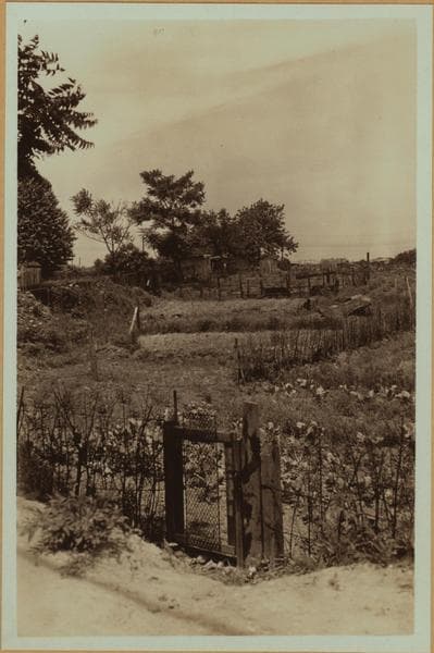 Farming - Queens., 1934–1935