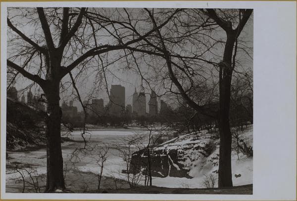Manhattan: Central Park.