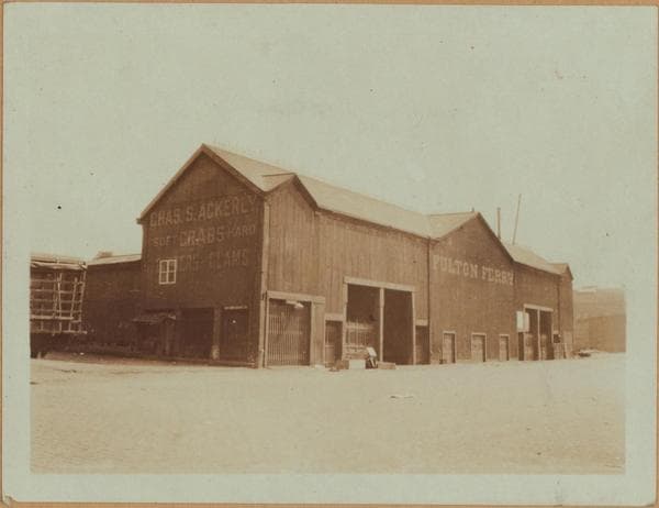 Manhattan: South Street - Fulton Street, 1924