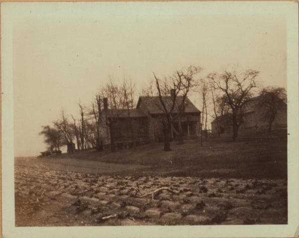 Queens: Yellowstone Boulevard - Fleet Street, 1922–1925