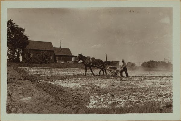 Farming (Queens)., 1932
