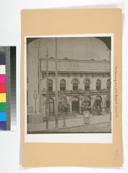 Manhattan: Bowery - Bayard Street, 1878