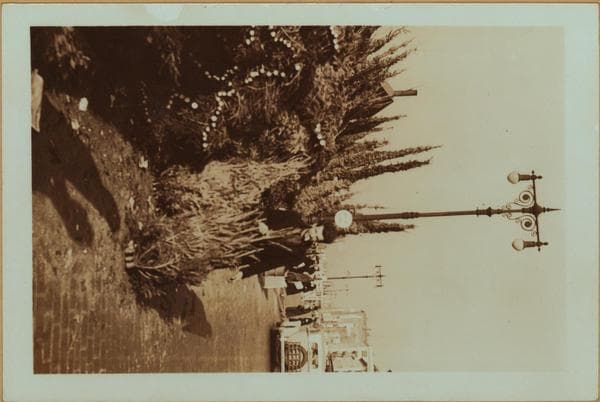 Occupations - Peddlers - Christmas trees., 1937