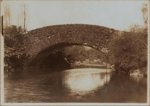 Manhattan: Central Park - The Pond., 1910
