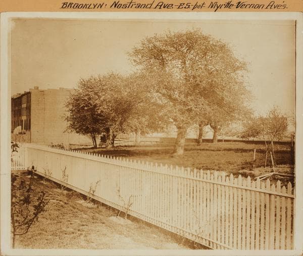 Brooklyn: Nostrand Avenue - Myrtle Avenue, 1910