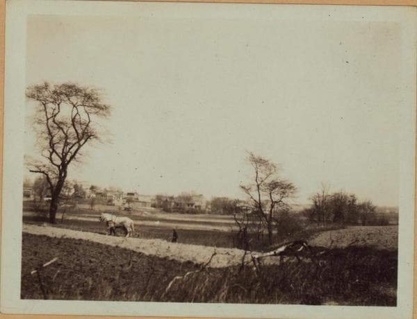 Queens: Colonial Avenue - 62nd Drive, 1928