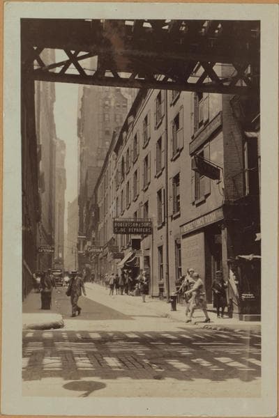 Manhattan: Pine Street - Pearl Street, 1929–1930
