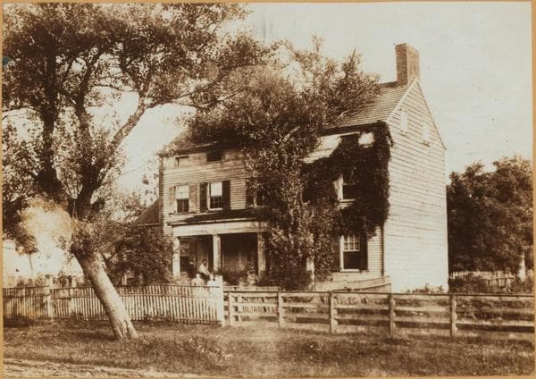 Brooklyn: New Lots Avenue - Schenck Avenue, 1900