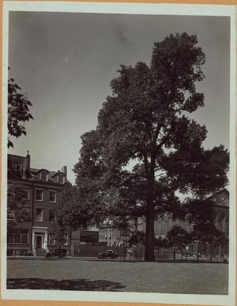 Manhattan: Washington Square South - West Broadway, 1936