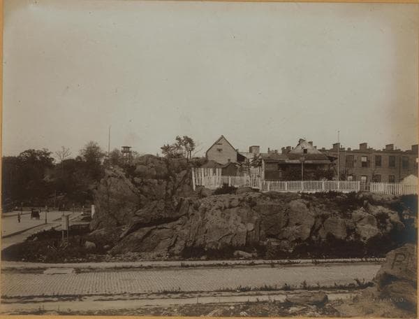 Manhattan: 5th Avenue - 118th Street, 1891