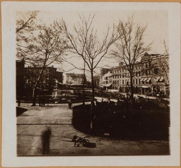 Brooklyn: Court Street - Fulton Street, 1876