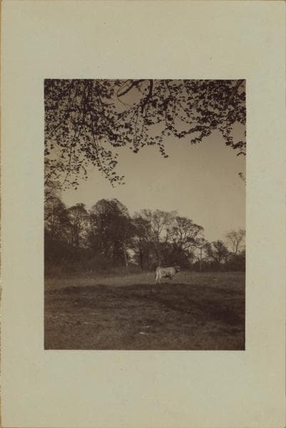 Richmond: Hall Avenue - Willowbrook Road, 1926–1972
